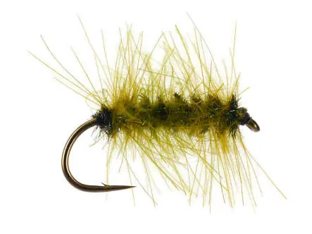 CDC Palmer 12