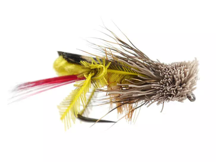 Davis Hopper BL 12