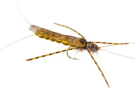 Large Realistic Yellow Stonefly 8