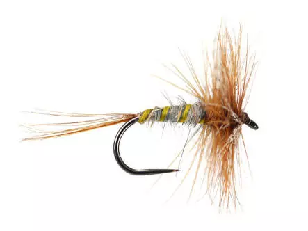 March Brown Classic BL