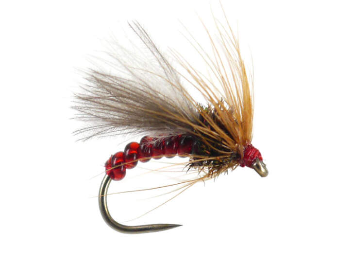 Red Grayling Dream BL