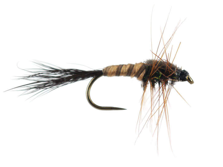 EMSea 4x Mosche Per Trote Bagnate Black Cormorant 10 Ami