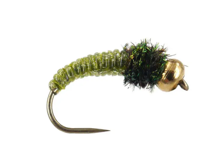 Caddis Larva Olive BL 12