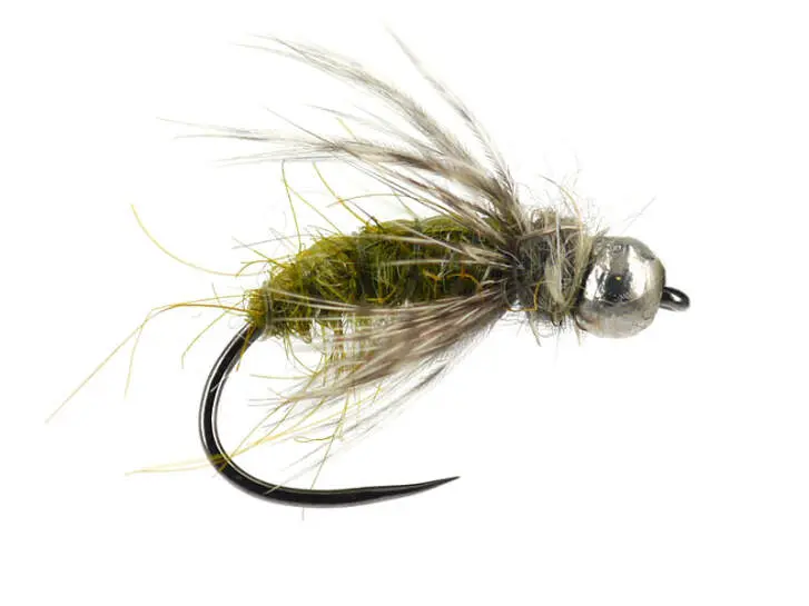 Ales TG Olive Caddis Larva BL 12