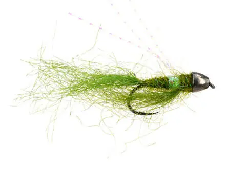 TG Olive Fighter BL 8