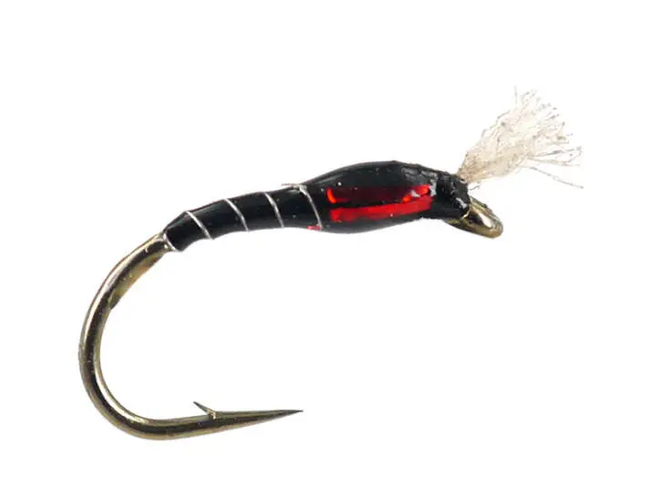 Highlander Buzzer Black Red 14