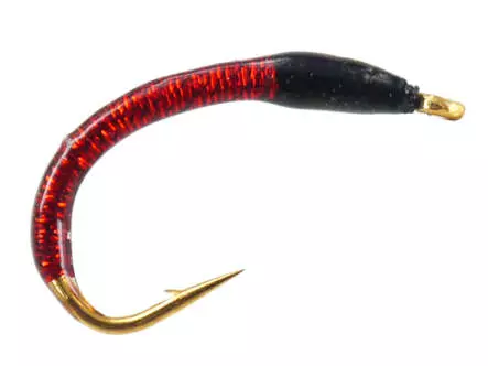 Amettiera Coregone BLACK AND RED THORAX