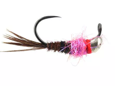 Pinky Trout Nymph Javi TG BL