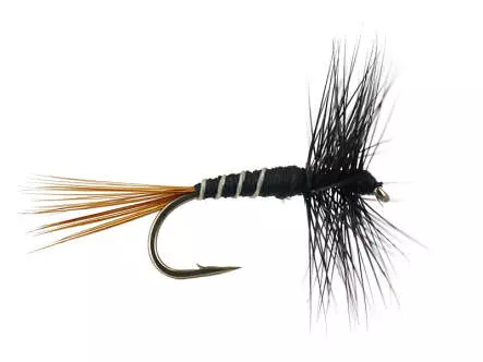 French PL Black Ribbed