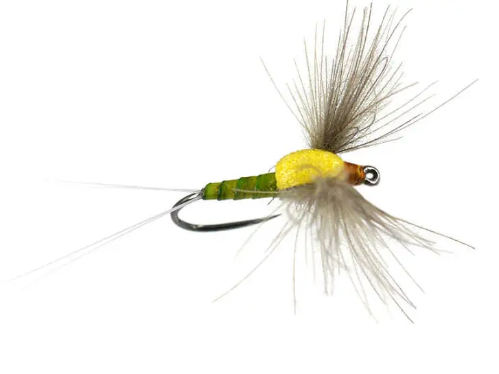 Mauros BWO Dun 02 BL 18