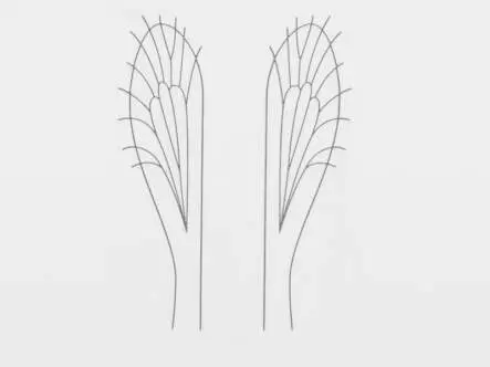 Folie für Flügel von Landinsekten und Midges -...