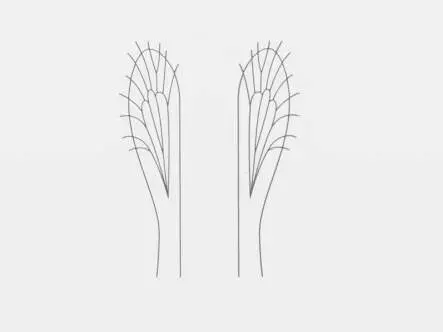 Folie für Flügel von Landinsekten und Midges -...