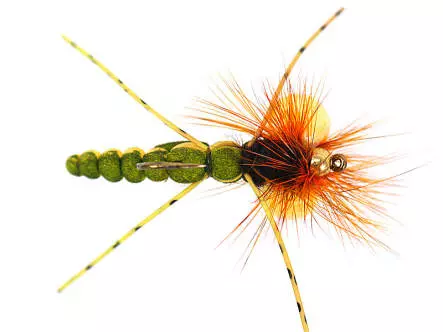 Ales Hopper Yellow/Olive SPI 4