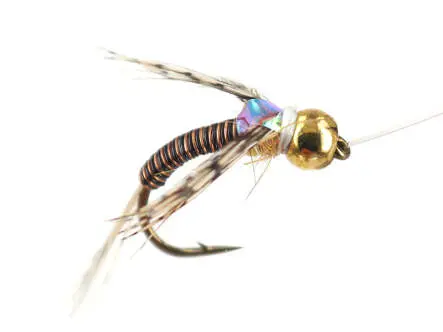Ales BI Copper Nymph 14