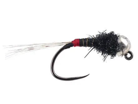 Armandos  Blacky TG Red Butt BL