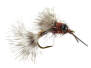 Brown Leg Dragonfly Nymph 6
