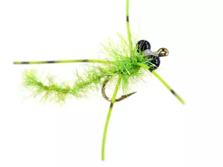 Shiny Chartreuse Dragonfly Nymph 6