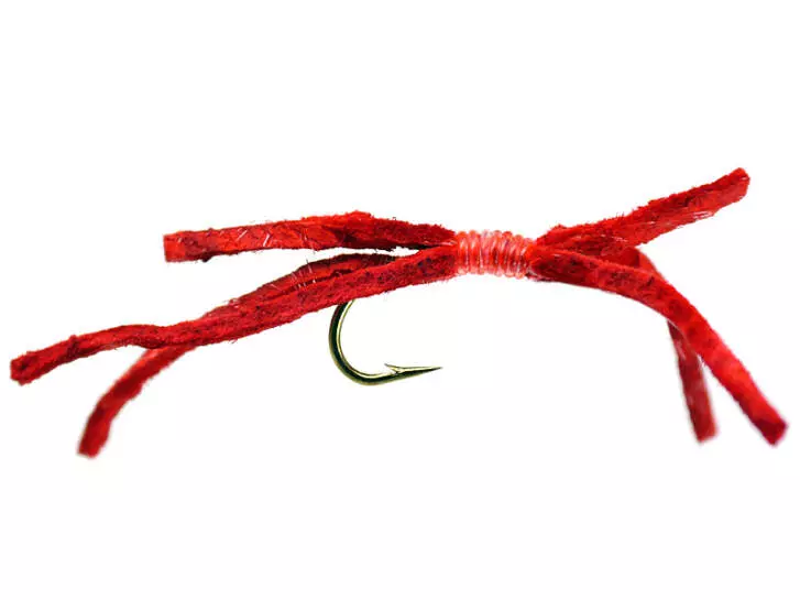 Red Wormbundle 6