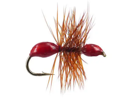 Hard Body Red Ant 18
