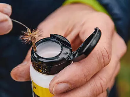 BLUE RIBBON loon outdoors - Polvere