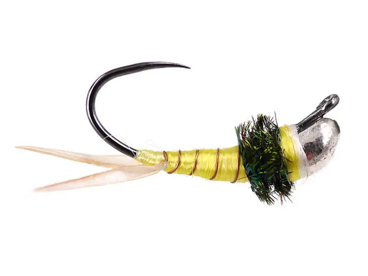 Pale Yellow Terminator Javi TG BL