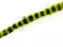 BARRED ZONKER STRIPS hotfly - 2 pc. x 35 cm - chartreuse...