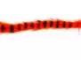 BARRED ZONKER STRIPS hotfly - 2 pc. x 35 cm - orange /...