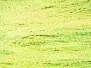 CRYSTALFLASH textreme - small - 300 pc. - fluo yellow