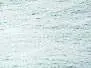 CRYSTALFLASH textreme - small - 300 pc. - white pearl