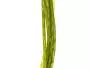 NATURFIL hotfly - 150 cm - Ø 0,5 mm - olive