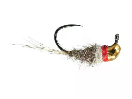 Marks Hares White Dream Javi TG BL