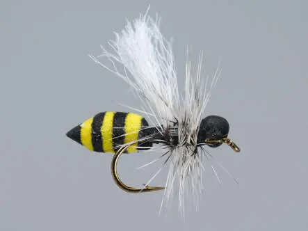 Medium Wasp HF 12