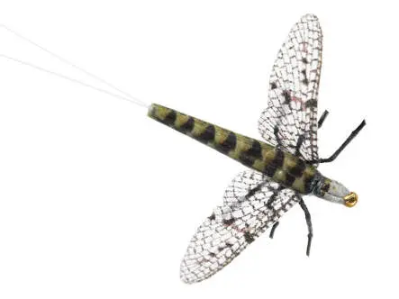 X-true Grey Drake 14