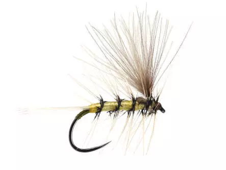 Ales Original AK47 Pale Yellow BL