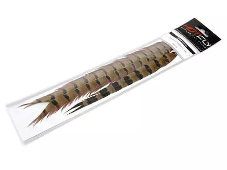 PENNA DI CODA DI FAGIANO 1° CLASSE hotfly - 1 pz. - ca. 50 cm