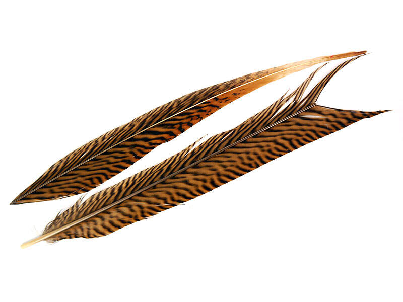 circa 12-35.6 cm lungo fagiano penne della coda accessori fai da te per artigianato o decorazione Natral Piume di fagiano naturali decorative 