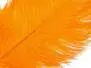PIUMA DI STRUZZO (OSTRICH HERL) hotfly - 1 pz. - ca. 20 cm - orange