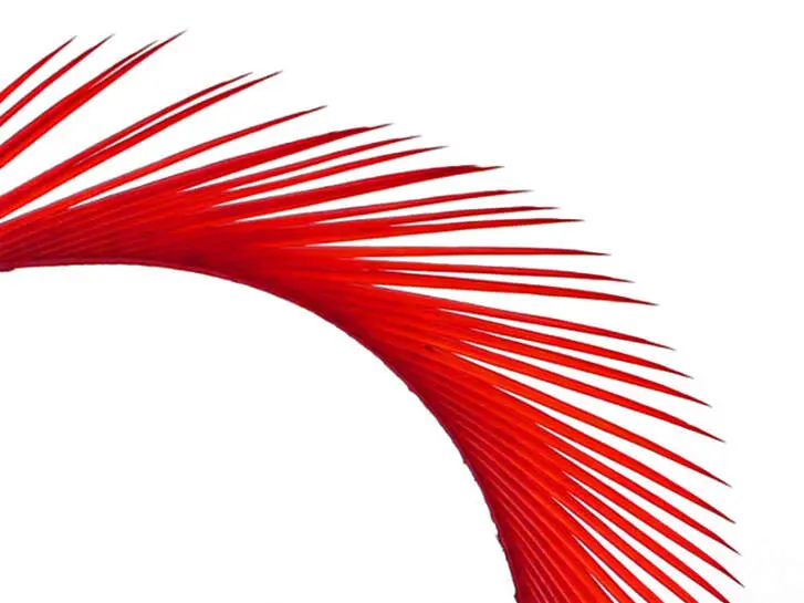 TRUTHAHNBIOTS (TURKEY BIOTS) XL-PACK - 5 Stk. - ca. 15 cm - red