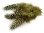 PERLHUHNFEDERN (GUINEA FOWL) hotfly - 10 Stk. - 6/10 cm - olive