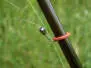 ANNELLO RIMOVIBILE per canne da ninfa a filo