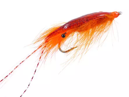 Agerskov Epoxy Mallard Shrimp Orange