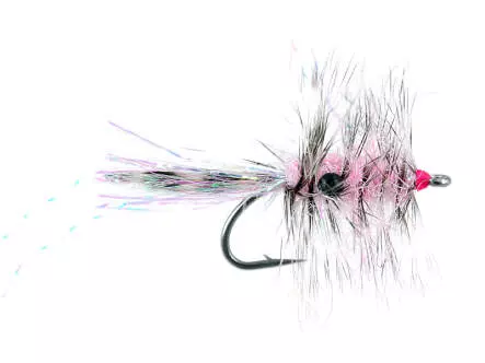 Polar Chenille Shrimp Pink