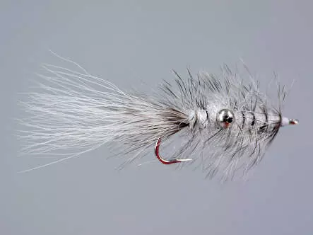 Vaskebjorn White