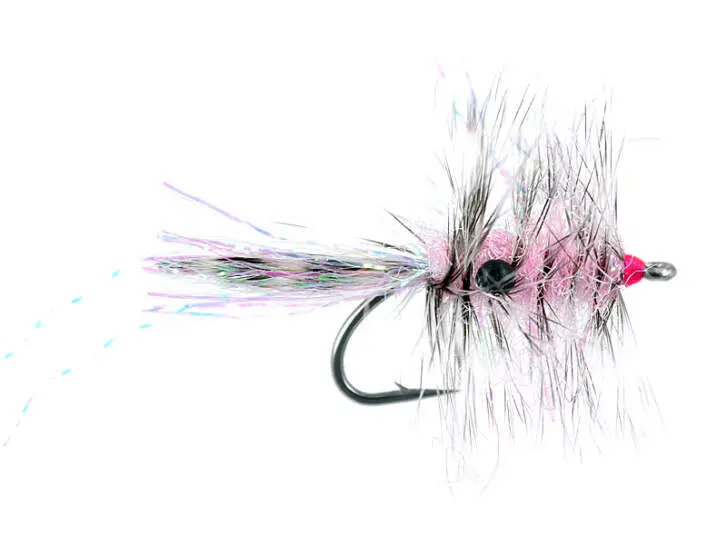 Polar Chenille Shrimp Pink 6