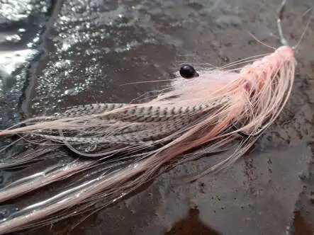 MW Pattegrisen Intruder Shrimp Pink 6