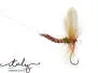 Ephemera Vulgata - 18 mm - 8