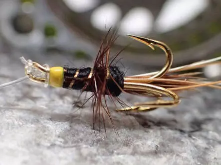 MW Francis Black Treble