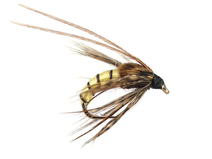 Caddis Pupa Cream 14