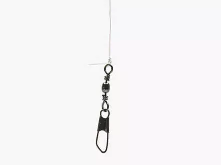 Alosa Agone Hegene CRYSTAL WING