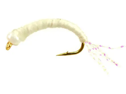 Alosa Agone Hegene MIXED GLOW COLORS